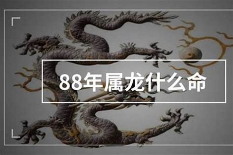 1988五行|1988年属龙是什么命，88年出生五行属什么